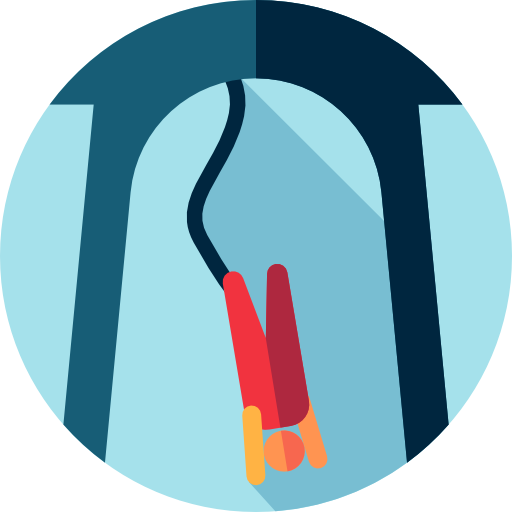 dangling on a bungee rope