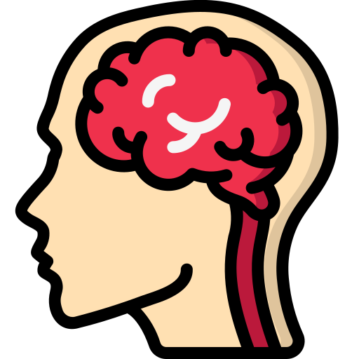 a human brain